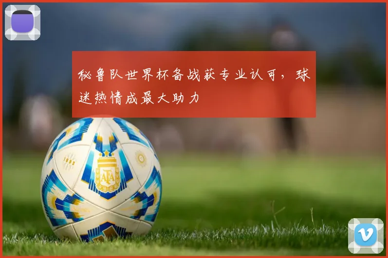 秘鲁队世界杯备战获专业认可，球迷热情成最大助力