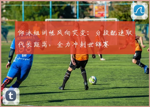 仰泳组训练风向突变：分段配速取代长距离，全力冲刺世锦赛