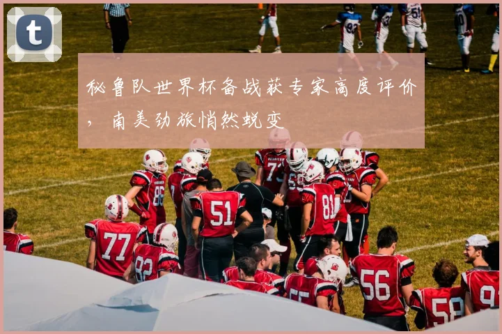 秘鲁队世界杯备战获专家高度评价，南美劲旅悄然蜕变